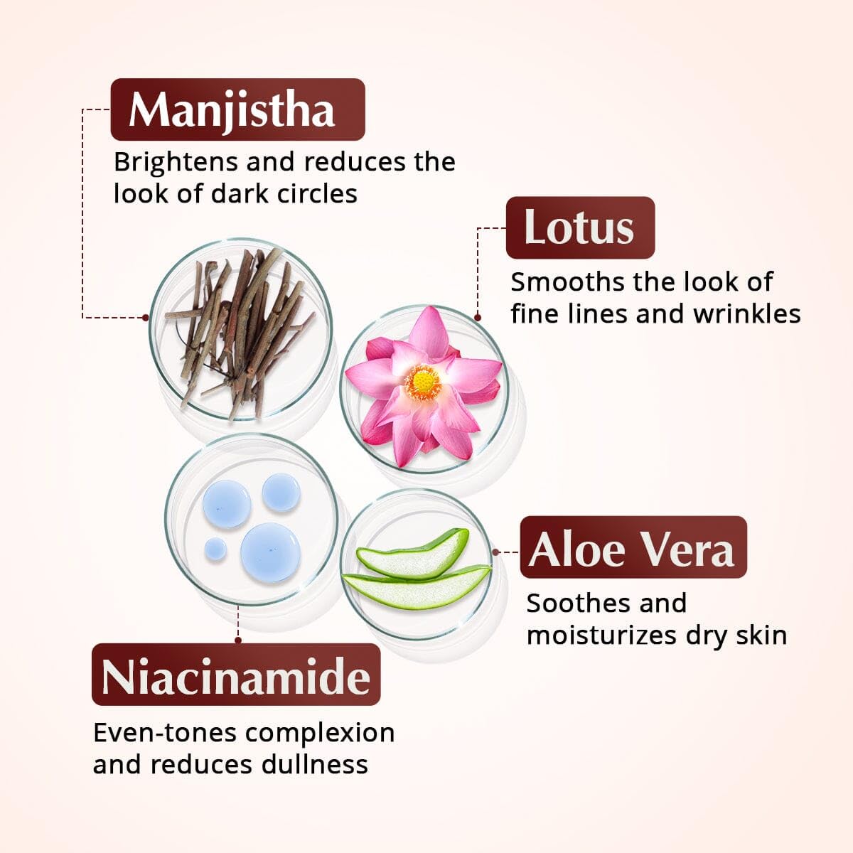 The Ayurveda Experience Rufolia Pro Eye Contour Cream ingredient highlight featuring Manjistha.