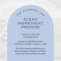 The Cleanest Lab leave-in conditioner mist fragrance notes accompany routine.
