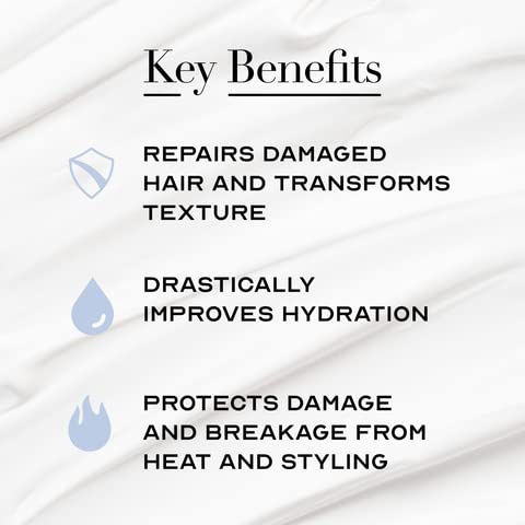 The Cleanest Lab Pure Hydration lather application for gentle scalp cleansing
