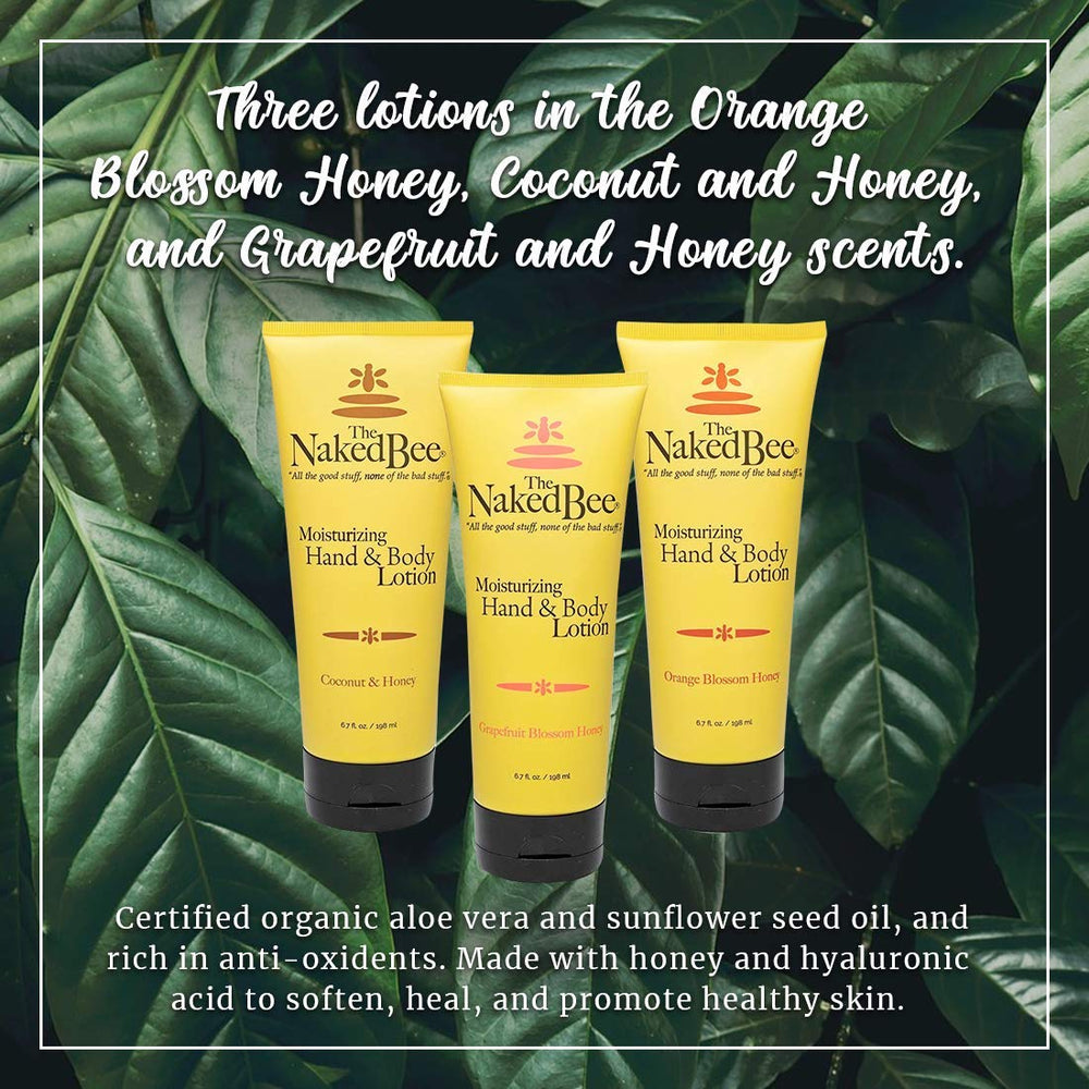 The Naked Bee Grapefruit Blossom Honey hand lotion tube for refreshed skin
