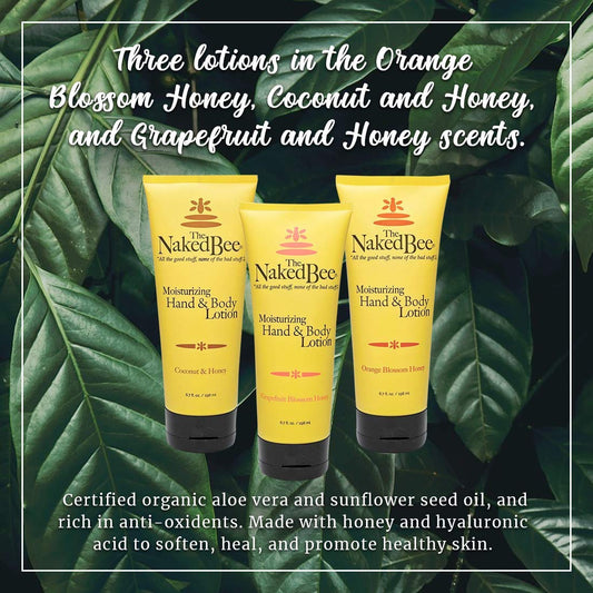 The Naked Bee Grapefruit Blossom Honey hand lotion tube for refreshed skin