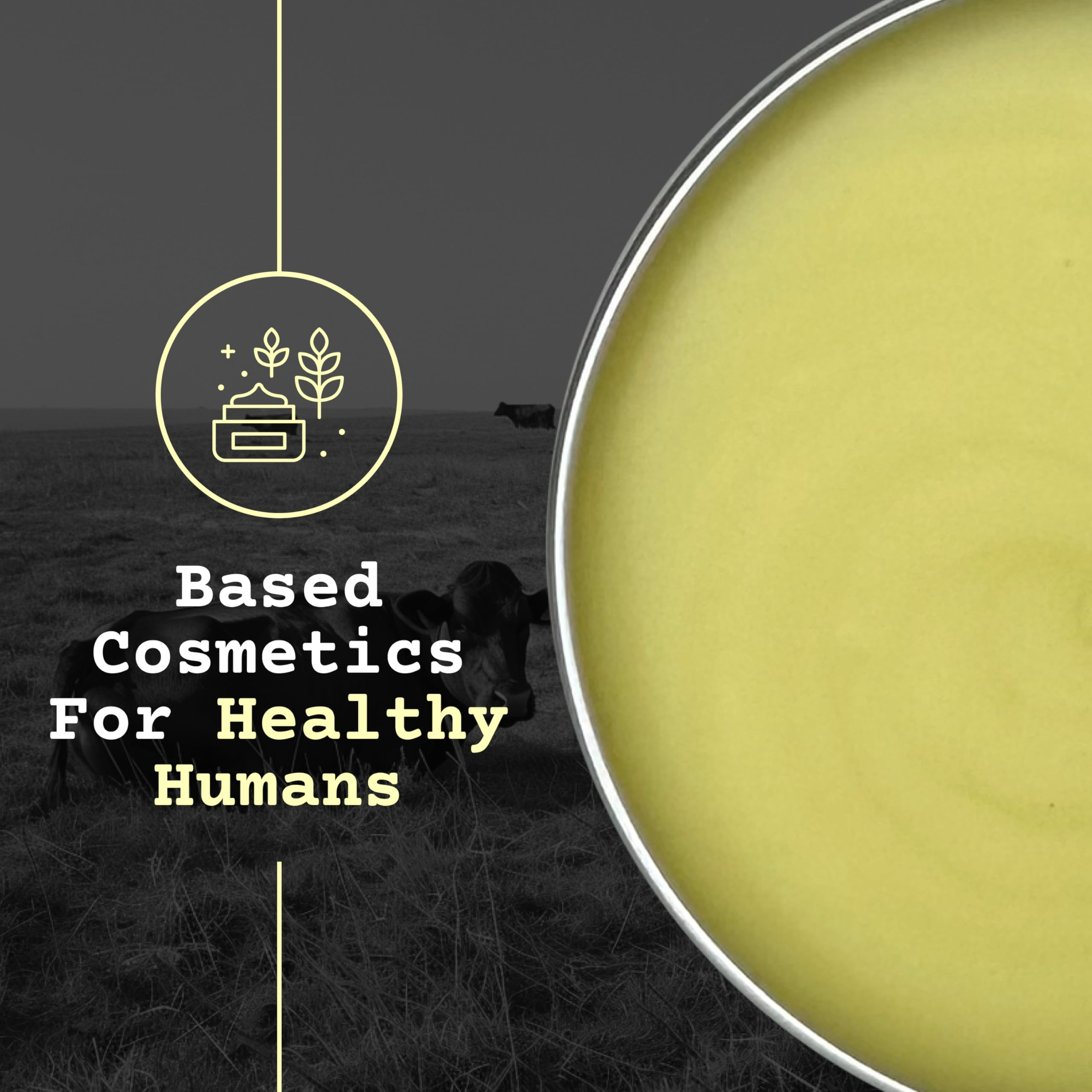 The Tallowed Truth F-Balm Tallow moisturizes as body care after shower