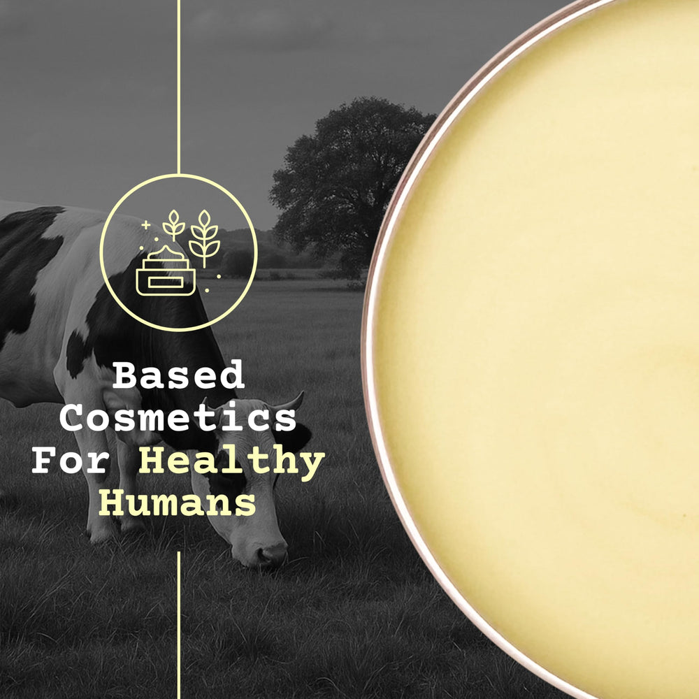 Branding-focused packaging from The Tallowed Truth on display