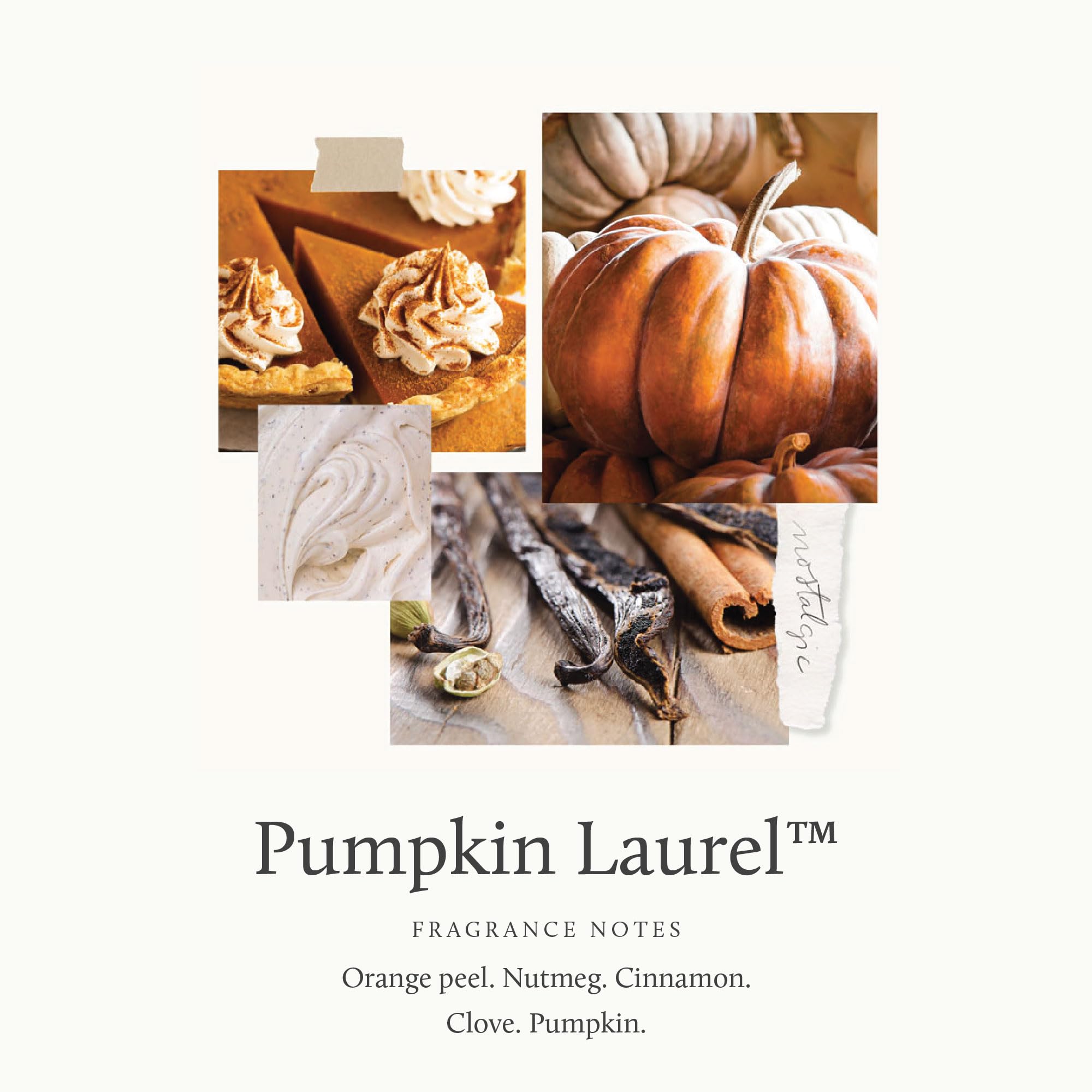 Thymes creamy pumpkin and orange peel notes create a cozy autumn aroma.