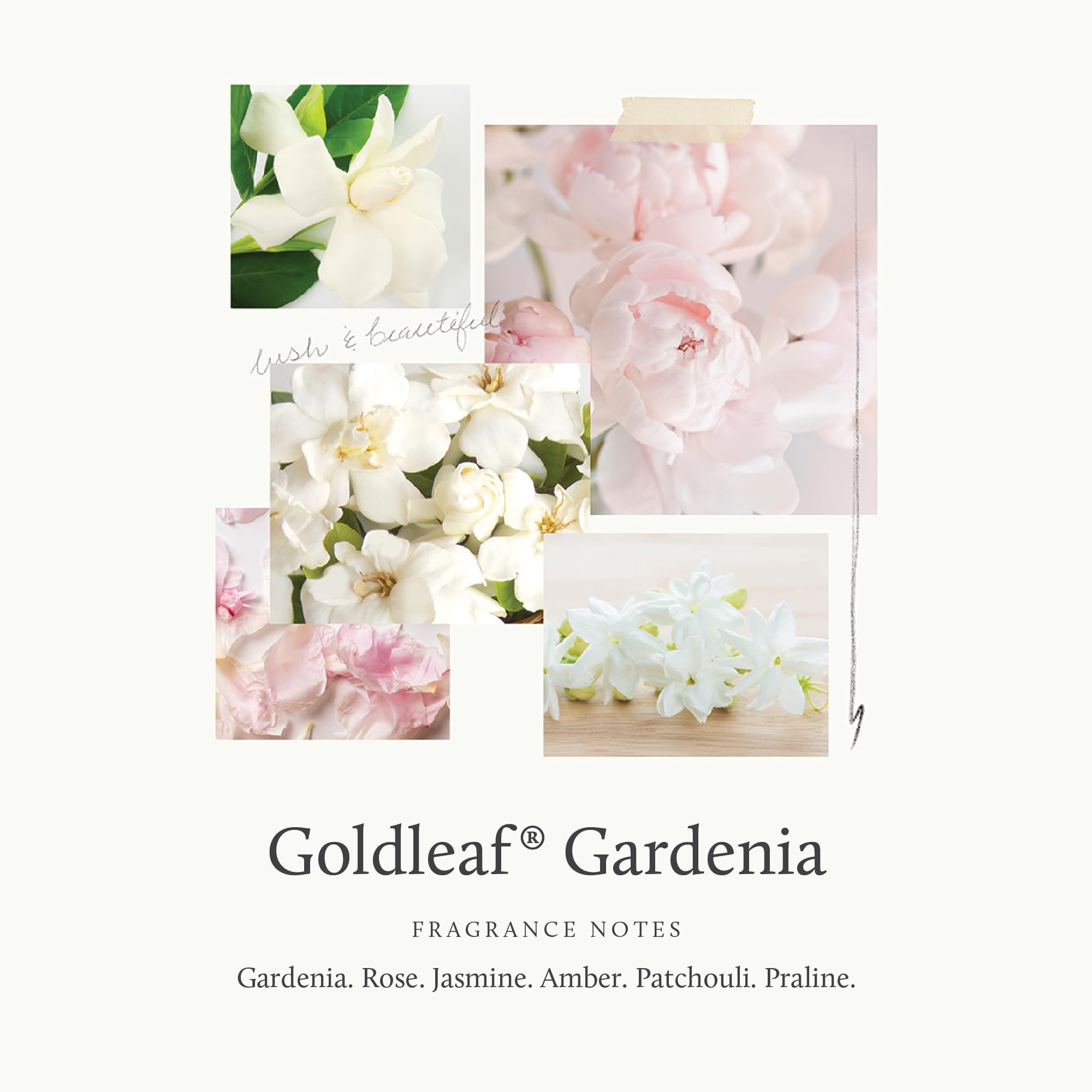 Thymes gardenia-rose-jasmine extracts closeup for fragrant skin care