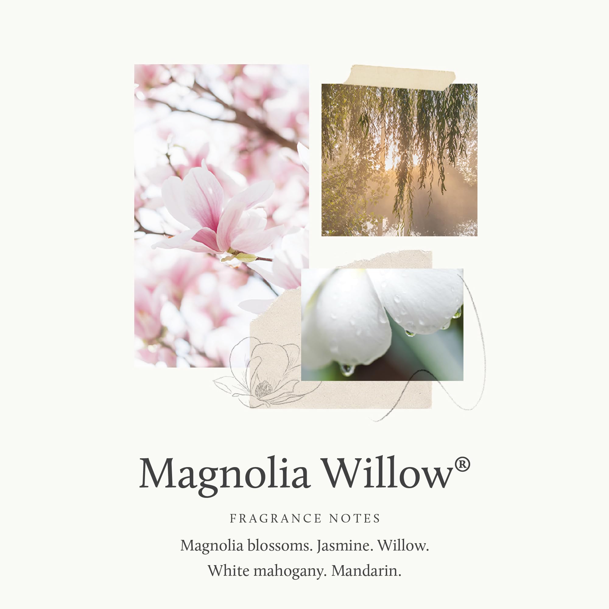 Thymes Magnolia Willow foam lather delivers airy cleansing.