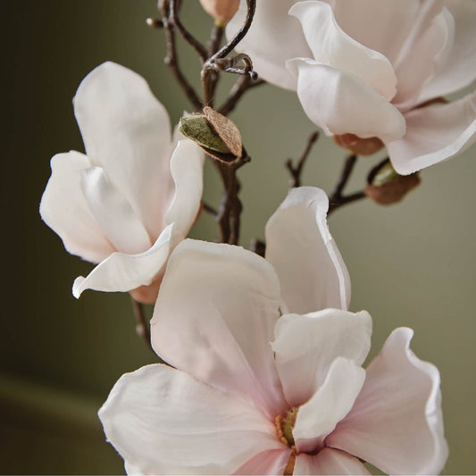 Thymes Magnolia Willow pump-dispense bottle for easy, mess-free use.