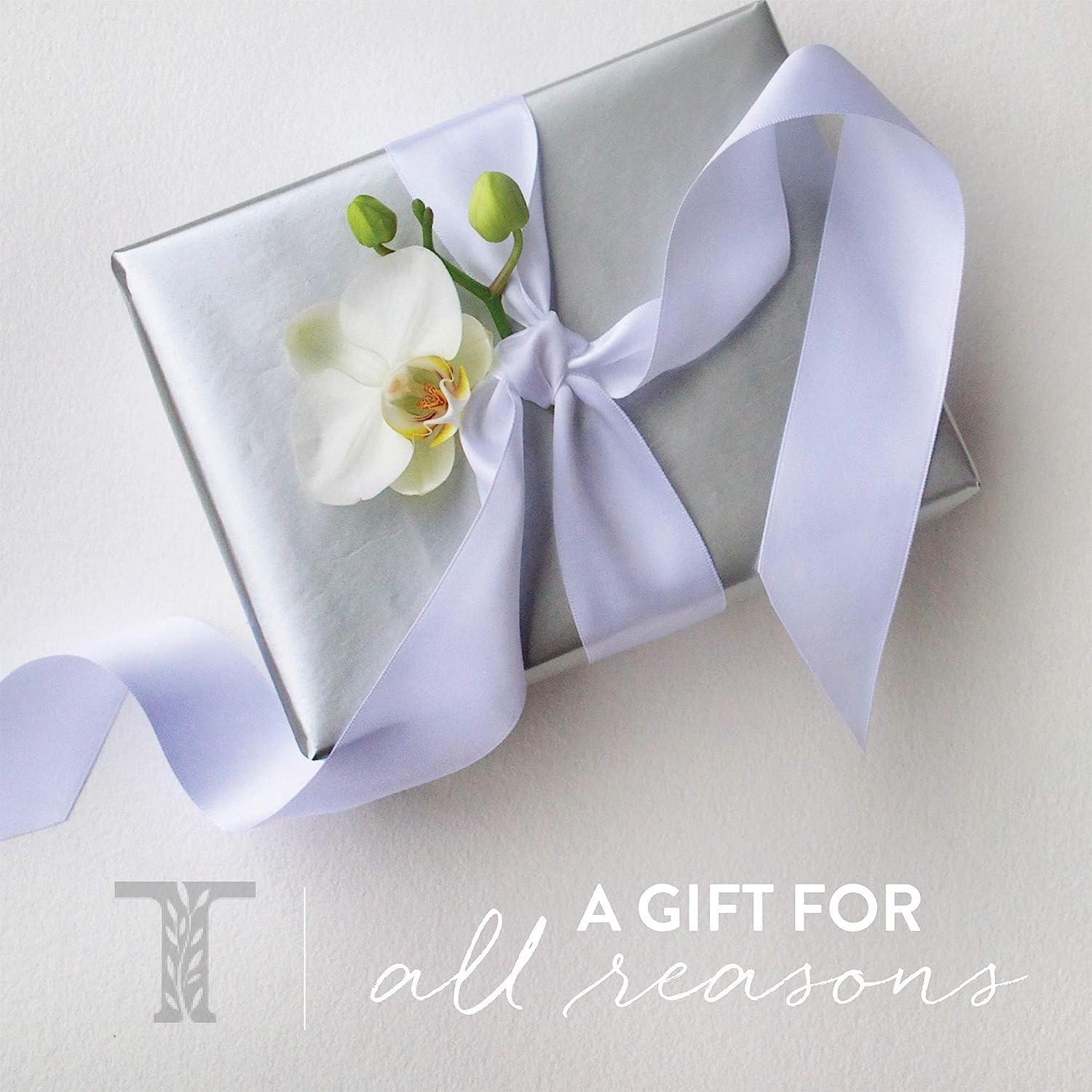 Thymes Kimono Rose ingredient spotlight: sodium hyaluronate on label.