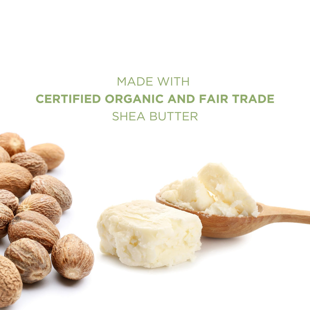 TINY SEED shea butter and mafura oil close-up, nourishing formula.