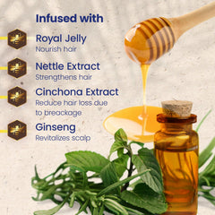 Tio Nacho nettle and aloe vera extracts visual emphasizes soothing scalp care