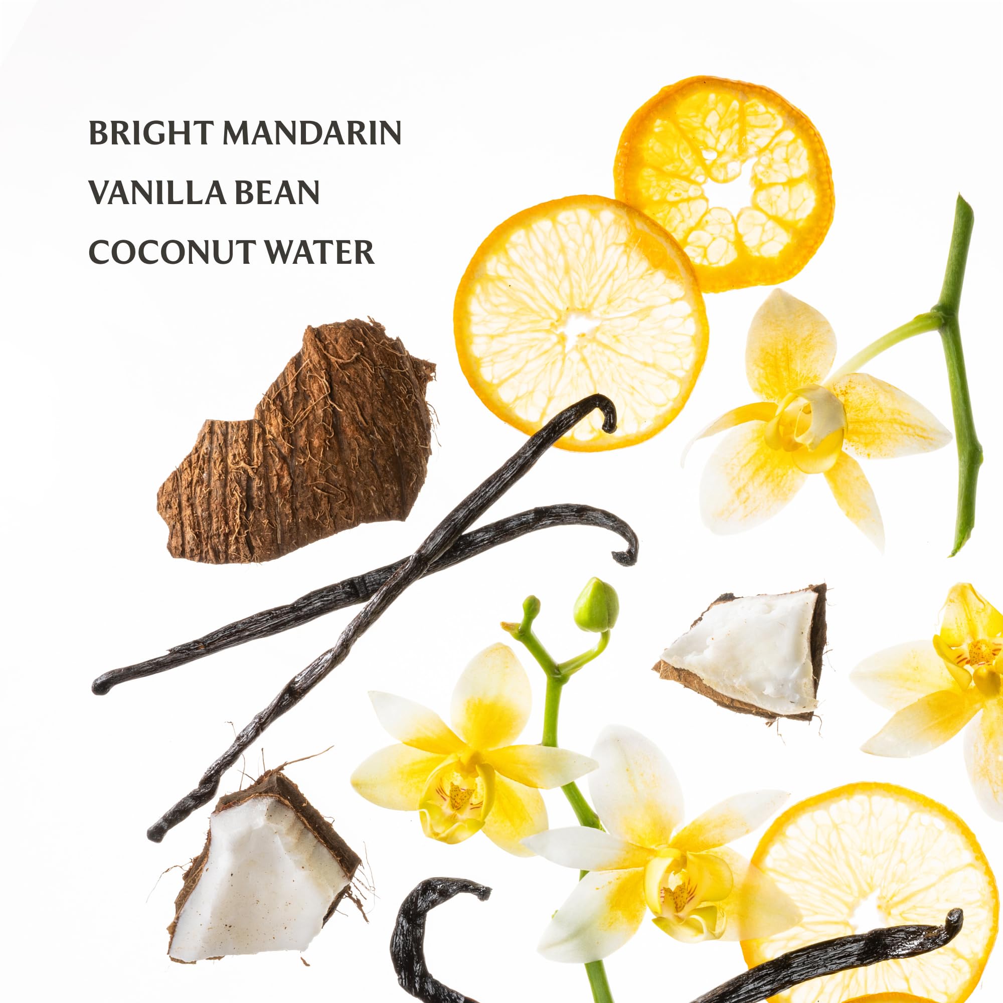 Touchland Vanilla Velvet Body Mist close-up, warm scent profile to elevate daily routines.