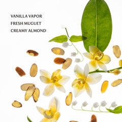 Touchland Vanilla Velvet fragrance profile, creamy warmth for morning and night.