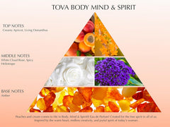 Tova lifestyle shot shows spritz moment for an uplifting, day-ready scent
