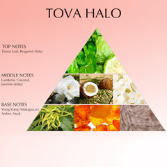 Tova Halo wear-on-wrist shot suggests versatile aroma projection.
