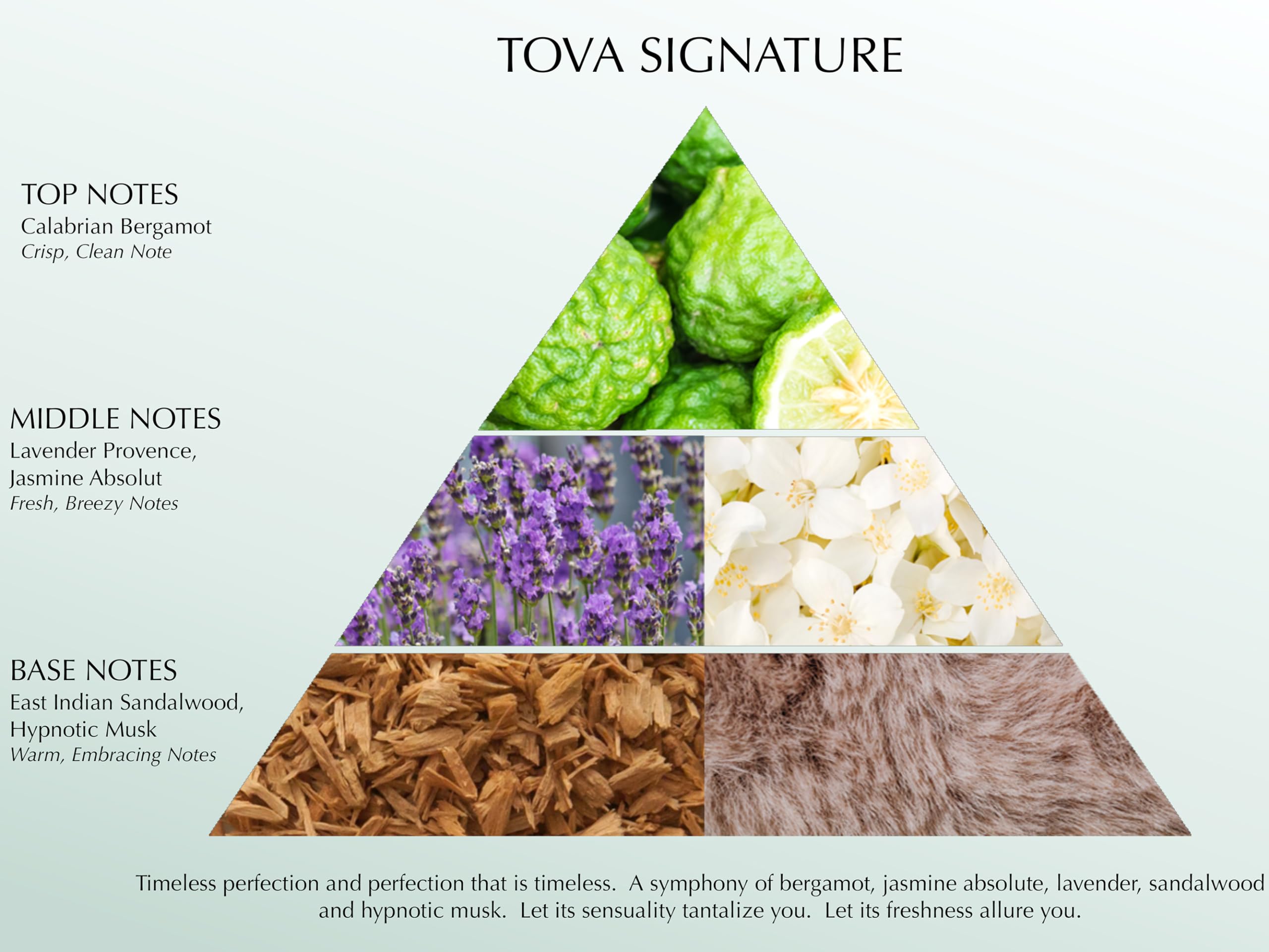 Tova Signature bottle-top view emphasizes sleek silhouette for daily use.