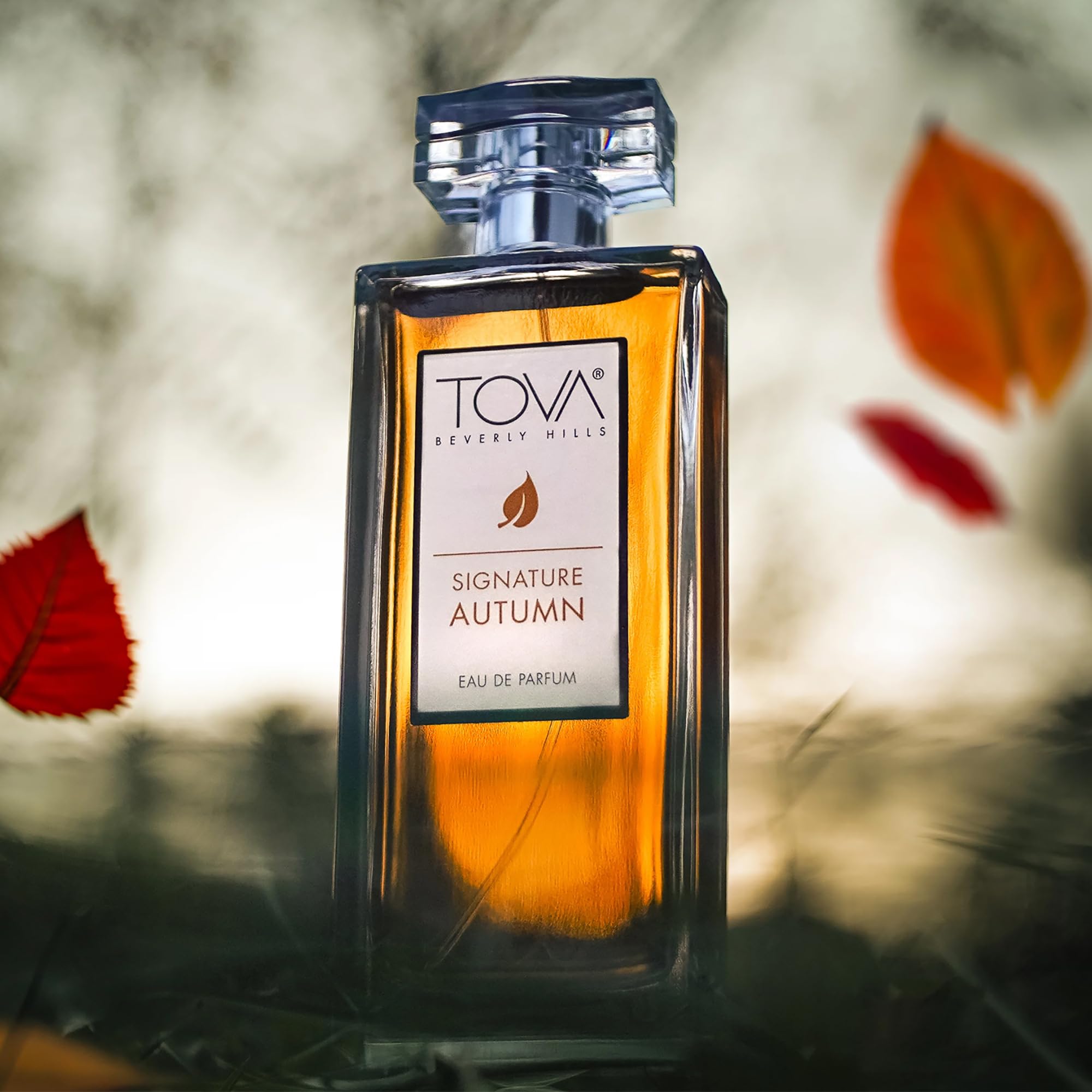 Tova Signature Autumn packaging, sleek USA-made presentation with cruelty-free assurance.
