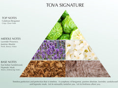 USA-made, cruelty-free Tova Signature shower gel on display.