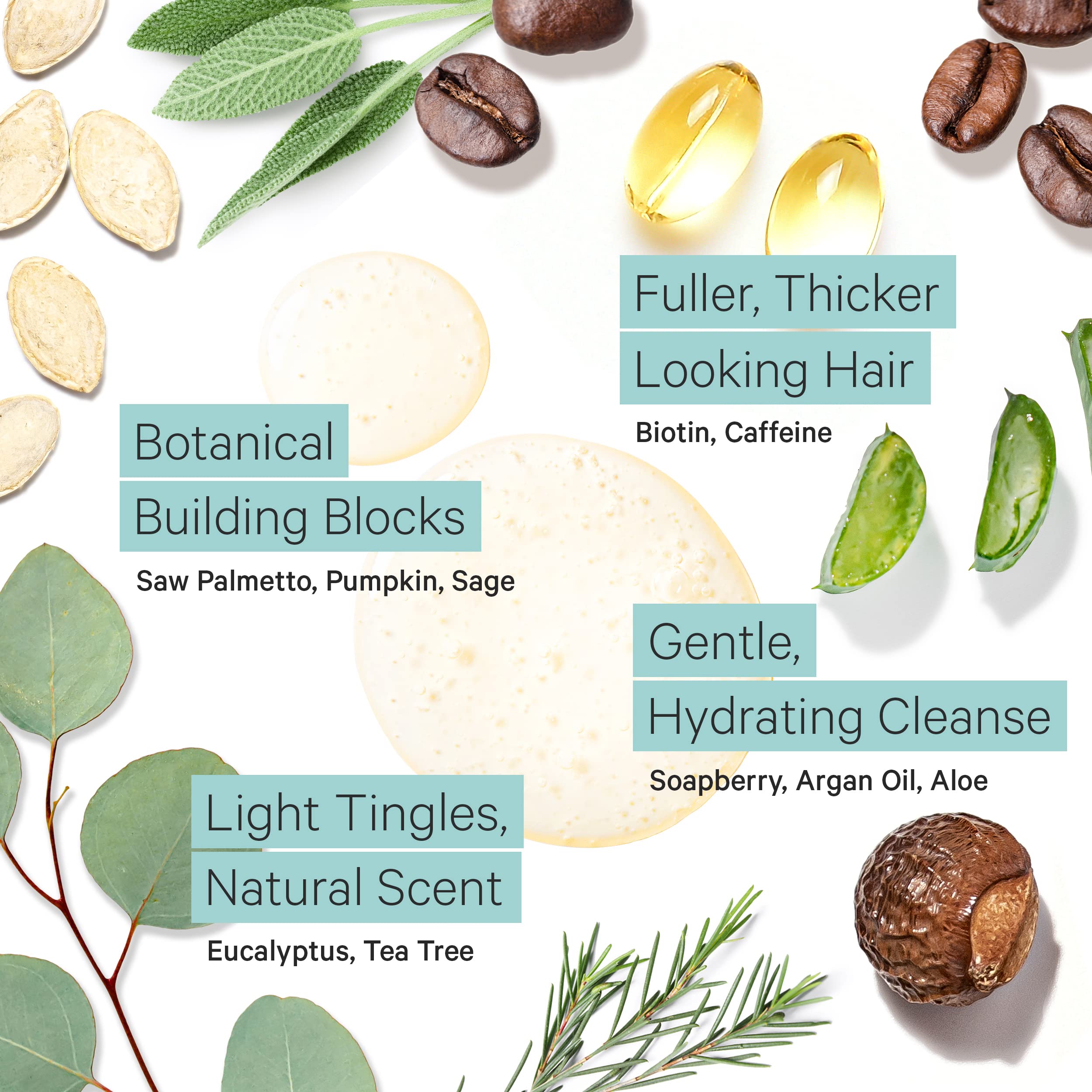 Argan oil infused shampoo ingredient highlights lightweight moisture for hair.