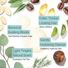 Argan oil infused shampoo ingredient highlights lightweight moisture for hair.
