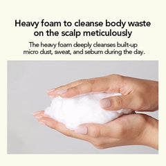 Overnight scalp repair with low-molecular collagen visible in TREECELL Night Collagen Shampoo.