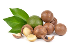 US Organic Macadamia Nut Oil close-up showing cold pressed purity