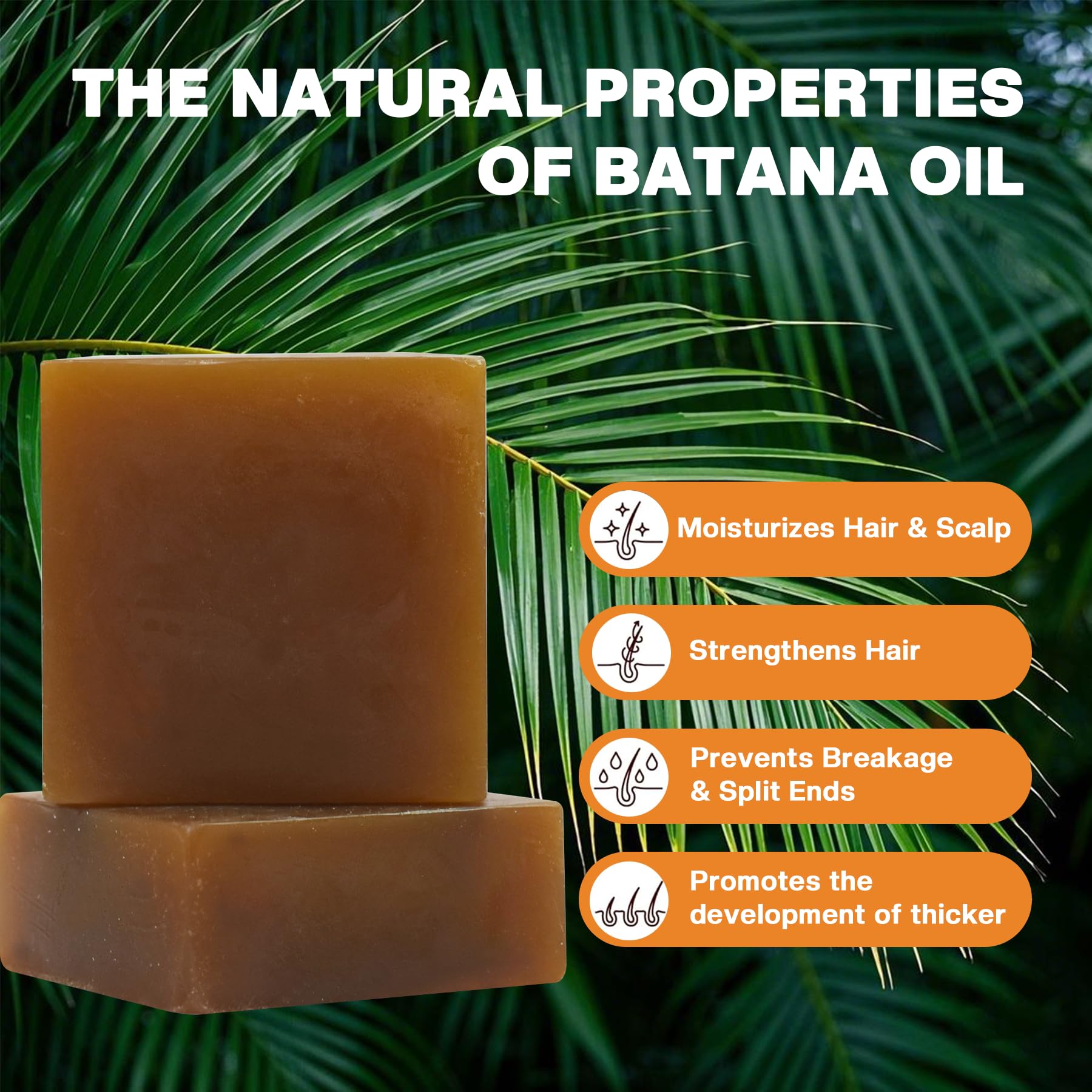 VAEYAE batana oil solid shampoo and conditioner packaging highlights the duo.