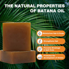 VAEYAE batana oil solid shampoo and conditioner packaging highlights the duo.