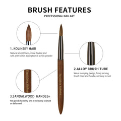 varnishea brush head features a metal-stamping connection preventing shedding during use