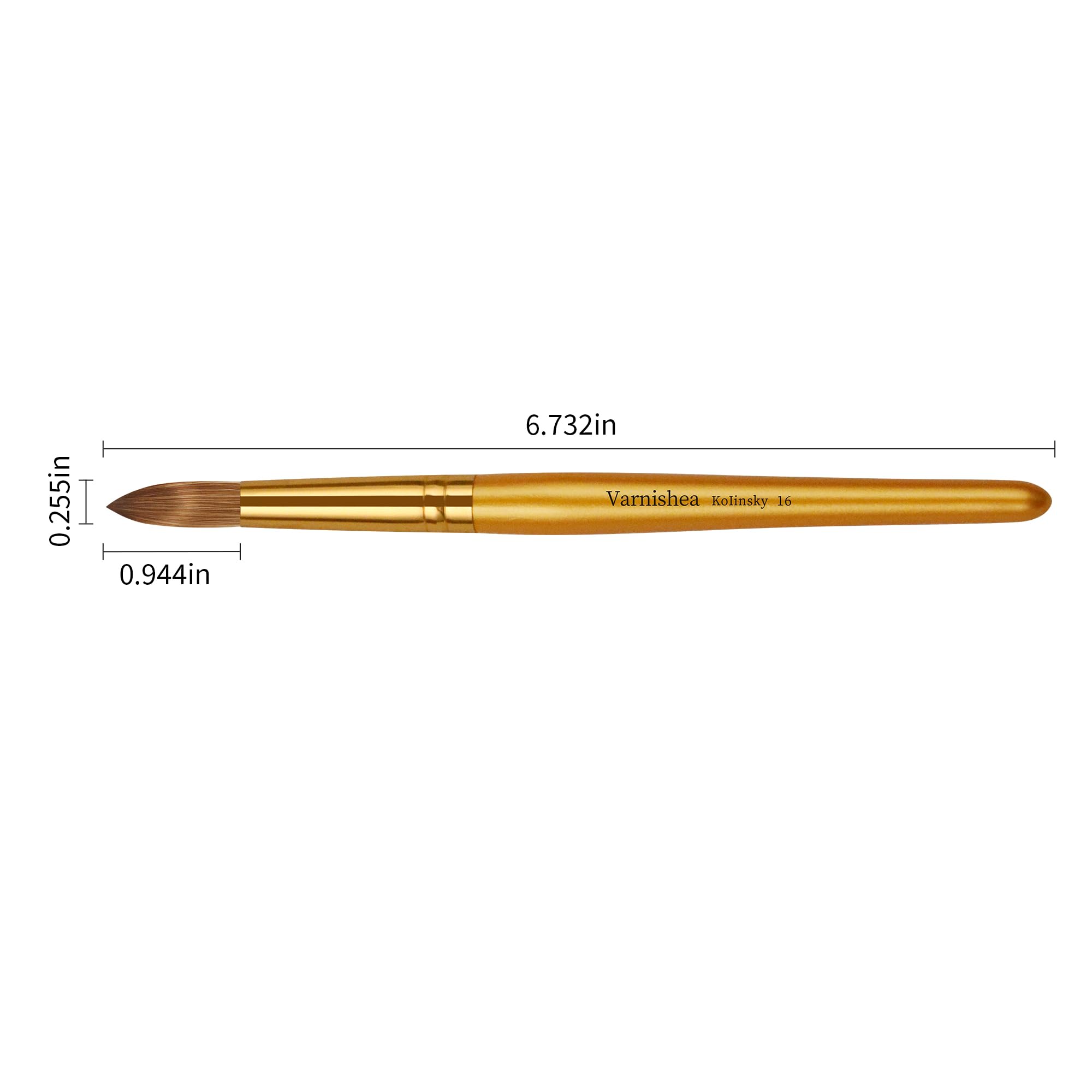 varnishea Kolinsky brush with metal-stamped design keeps hairs secure during use