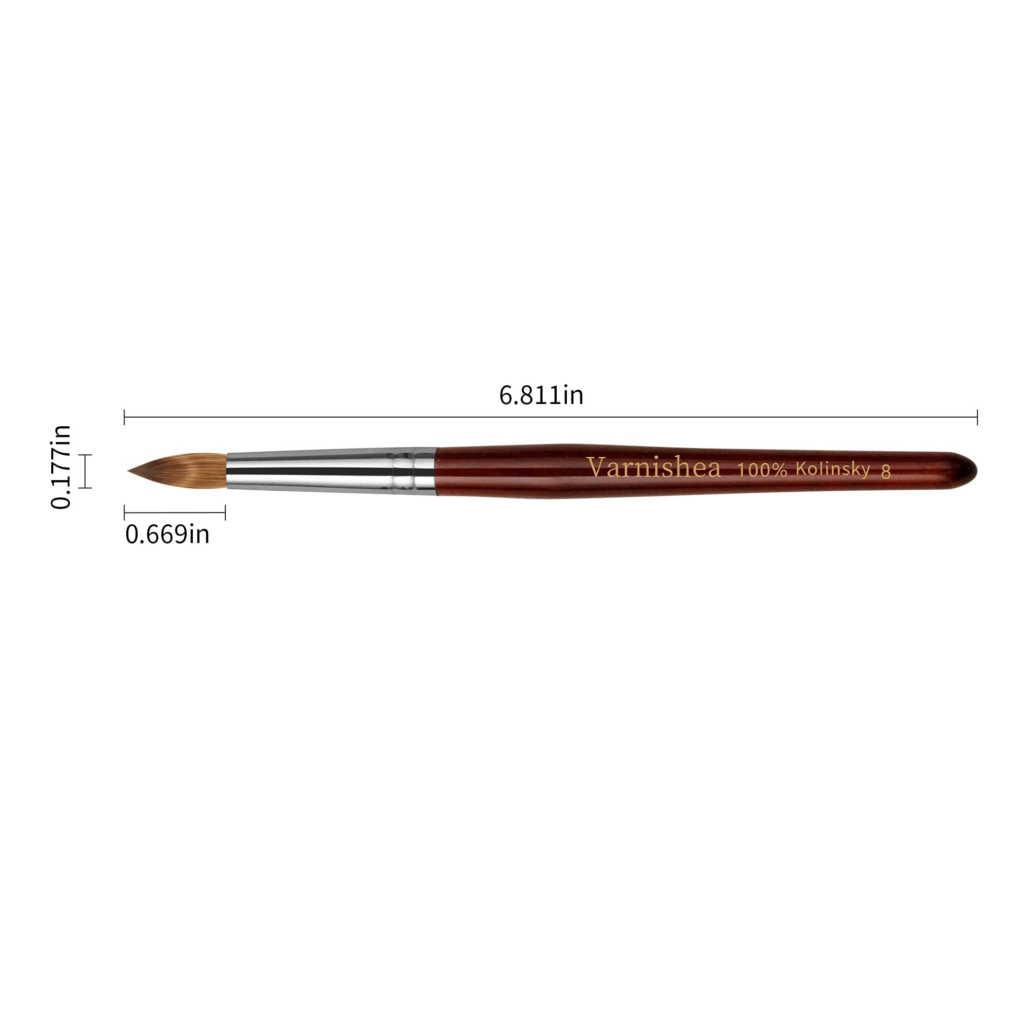 varnishea kolinsky brush head close-up highlights premium hair for smooth acrylic application