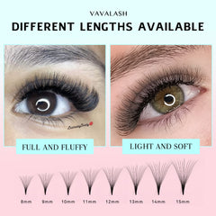 VAVALASH grid-pack packaging keeps fans organized during lash sessions