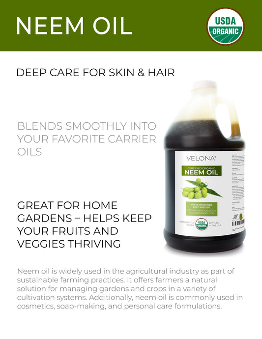 Velona Neem Oil fruit kernels - cold-pressed aroma-rich oil for natural skin care.