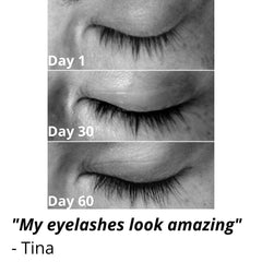 Vera Botanics Lash & Brow Booster Serum brow close-up with defined arches.