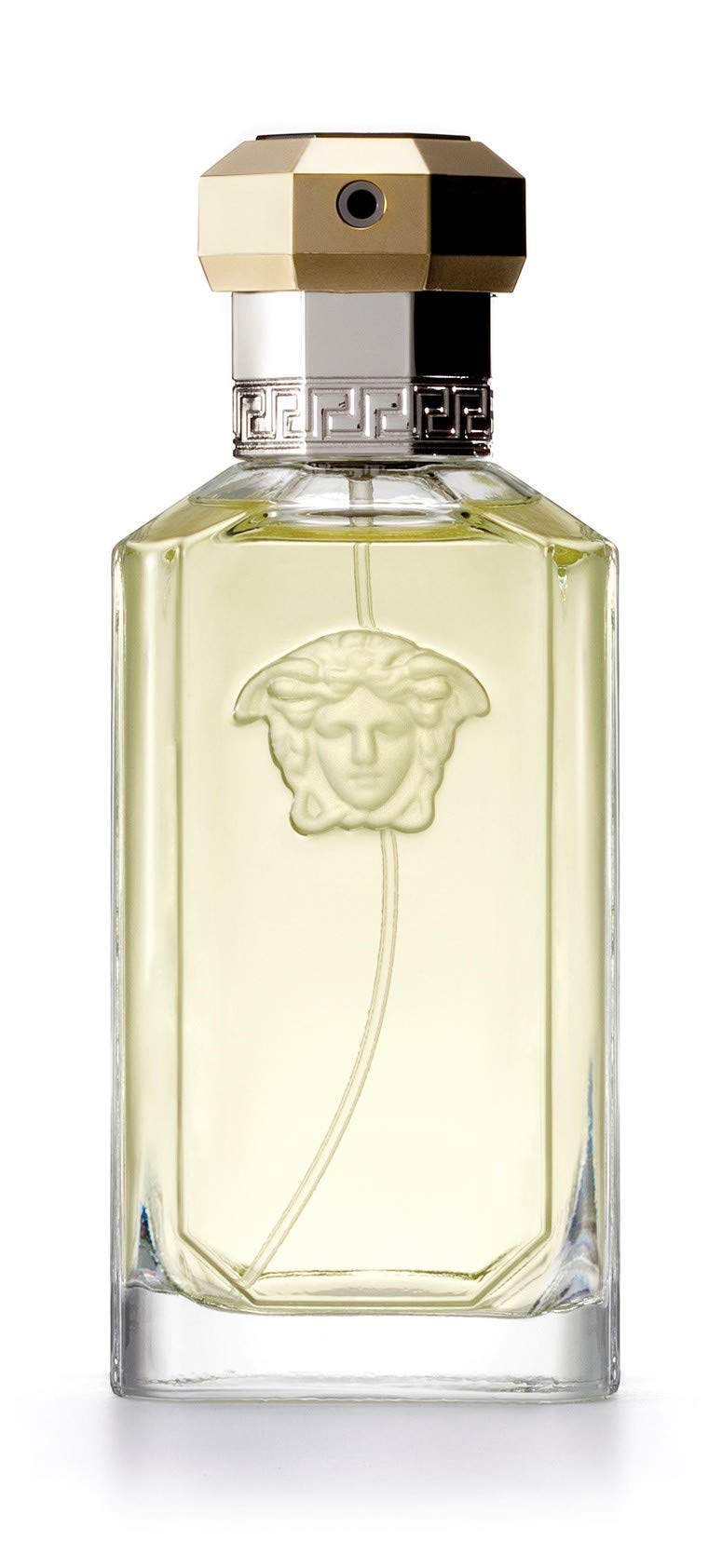 Versace The Dreamer for Men bottle back view, Italian craftsmanship with lasting impression.