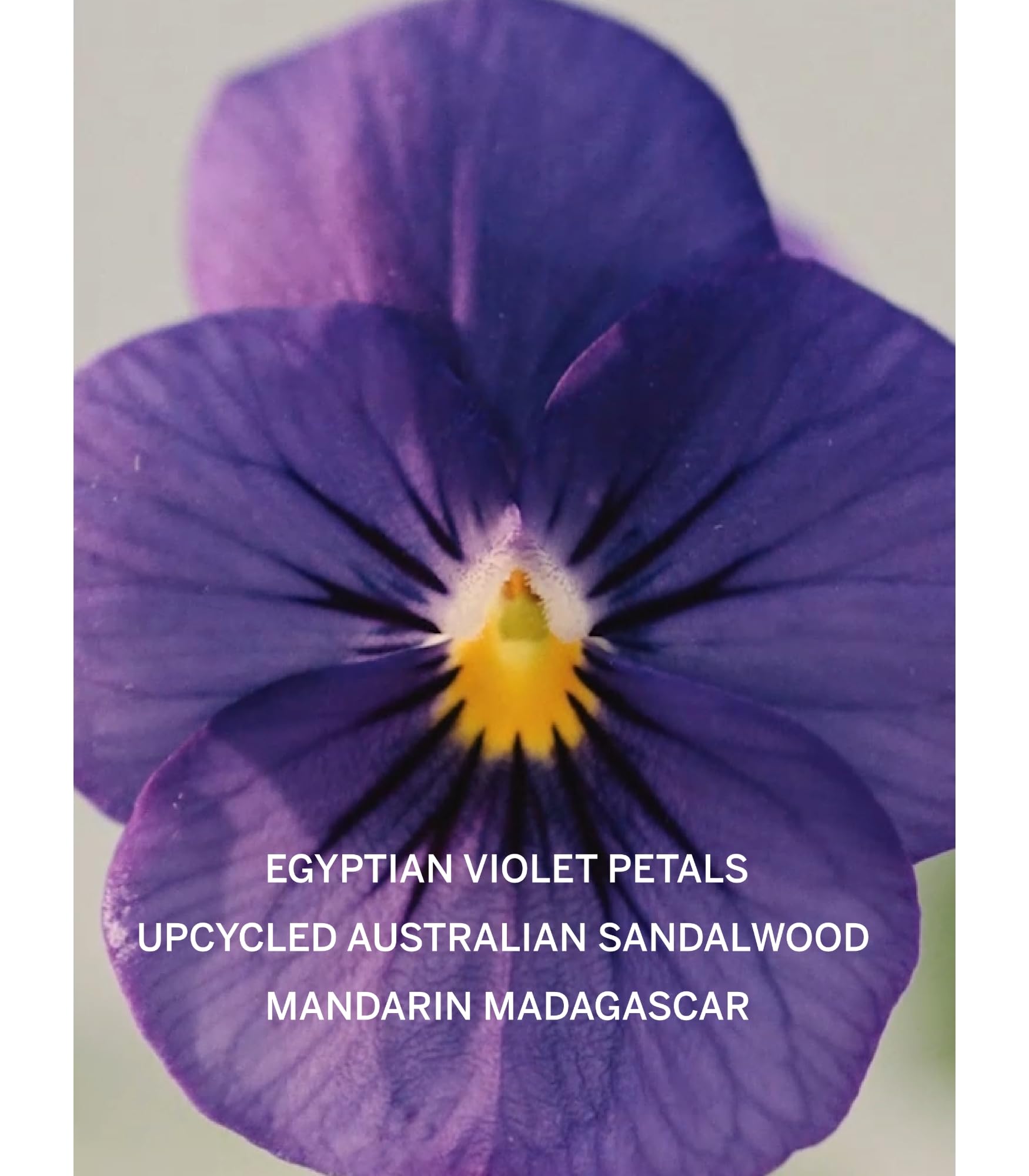 Pump close-up demonstrates easy dispensing for even fragrance application.