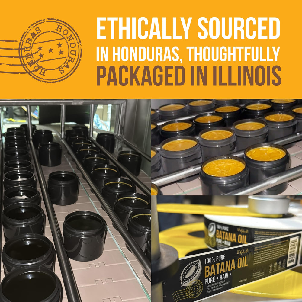 Vie Naturelle Batana oil from Honduran palm nuts—authentic cold-pressed origin.