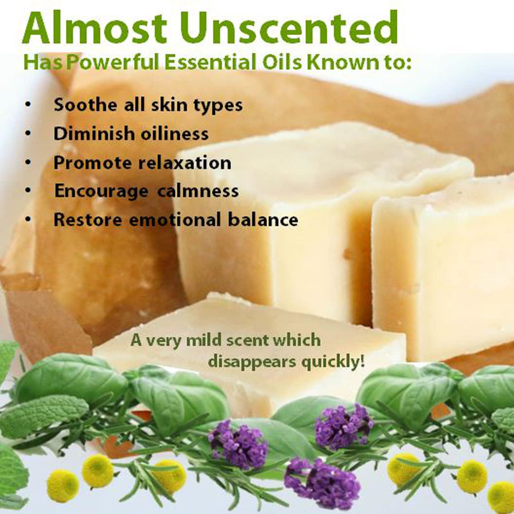 Grass-fed cows source for Vintage Tradition Balm