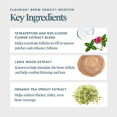 Smooth glide of Virtue Flourish Brow Serum on the brow line.