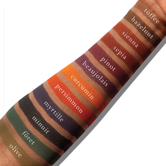 Viseart Paris Petites Pro Luxe dark mattes swatches closeup showing matte texture