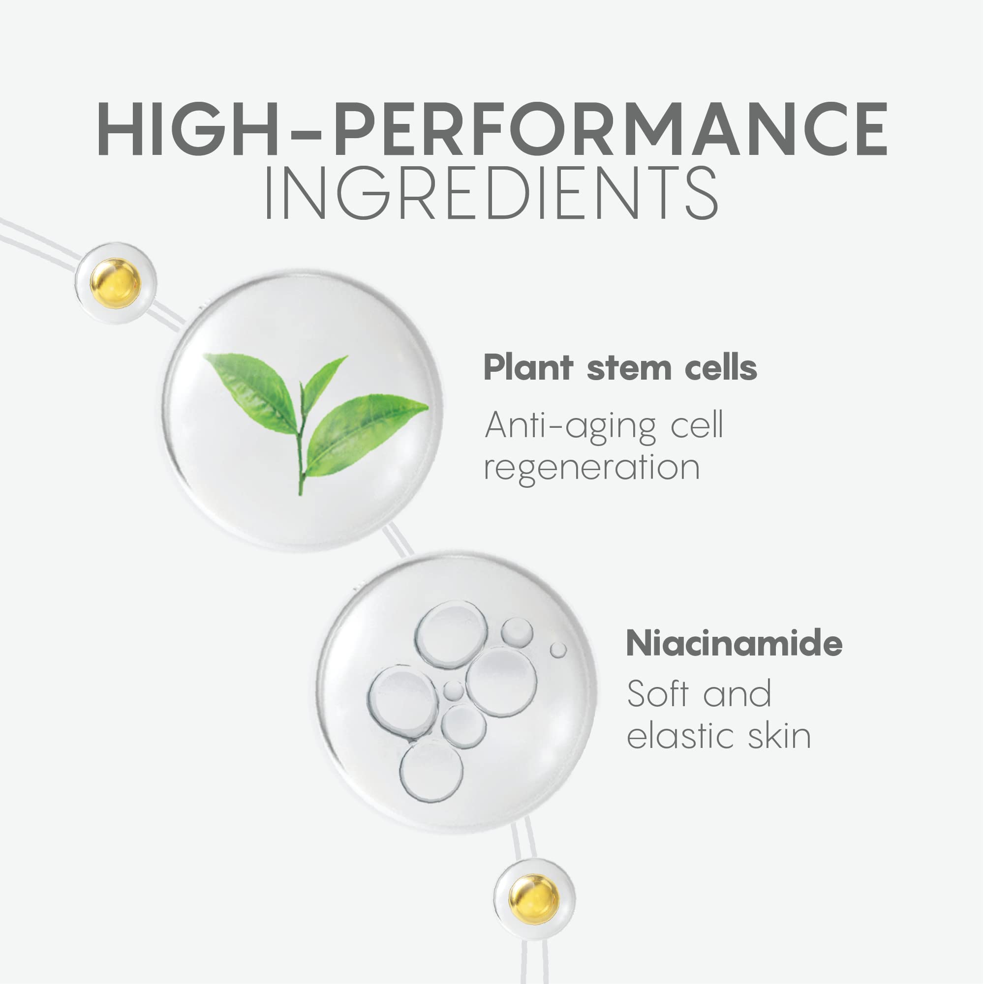 Hyaluronic acid and squalane ingredients panel