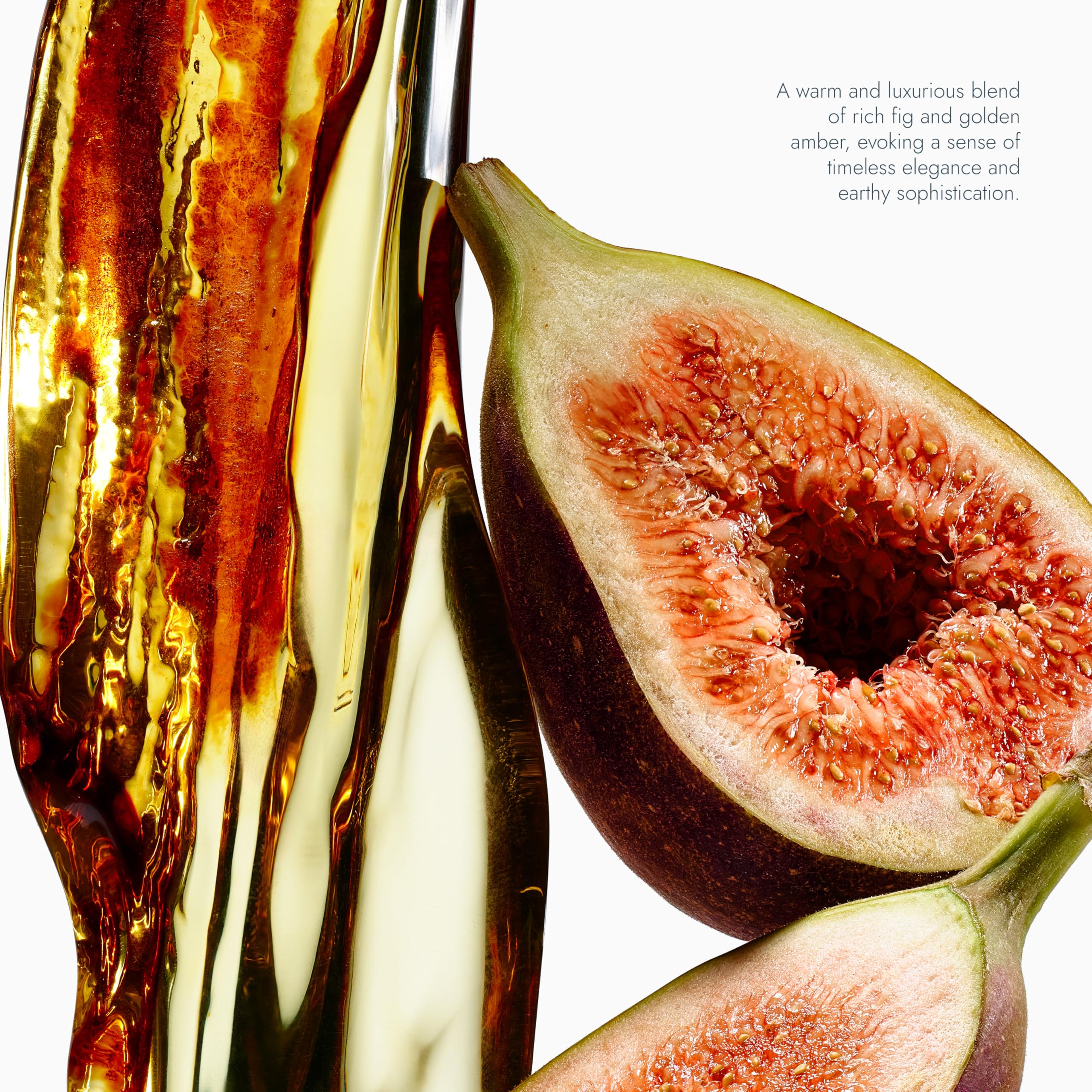 VOESH Gift set packaging with fig & amber design