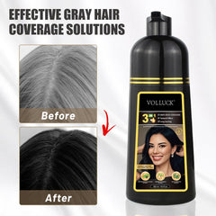 VOLLUCK Hair Dye Shampoo gray coverage before and after transformation