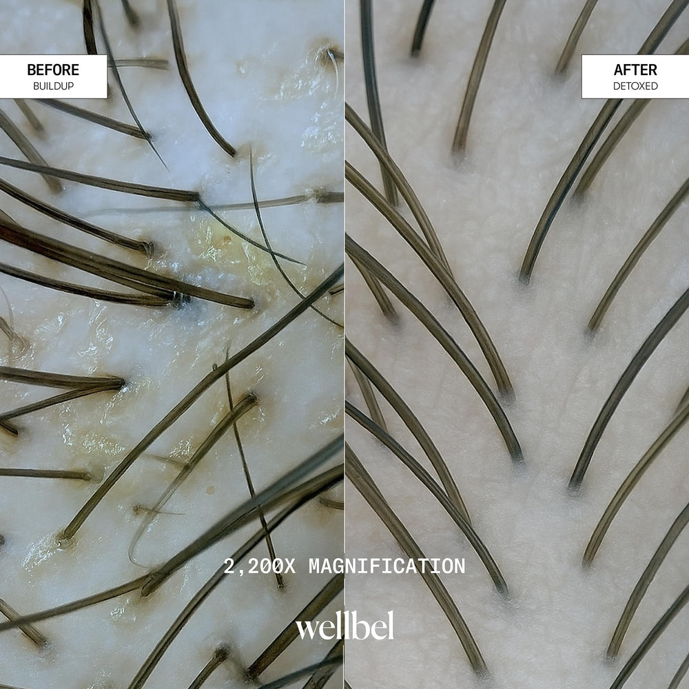 WELLBEL Gelée Detox Shampoo Signature Sanctuary scent on packaging notes.