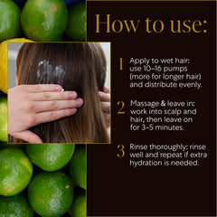 WEN 613 formula with ginger, rosemary, lotus, and ginseng for nourished hair.