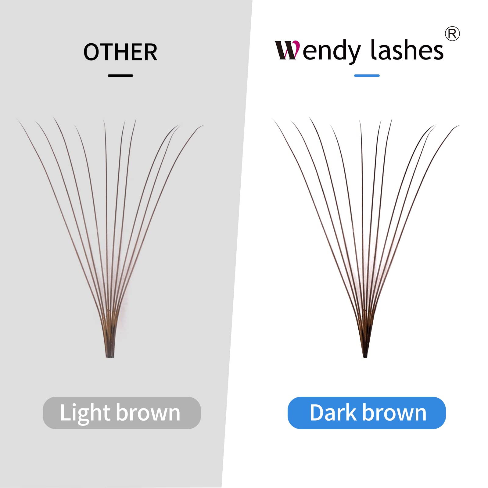 Wendy Lashes color premade fans mixed, versatile curl for quick looks.