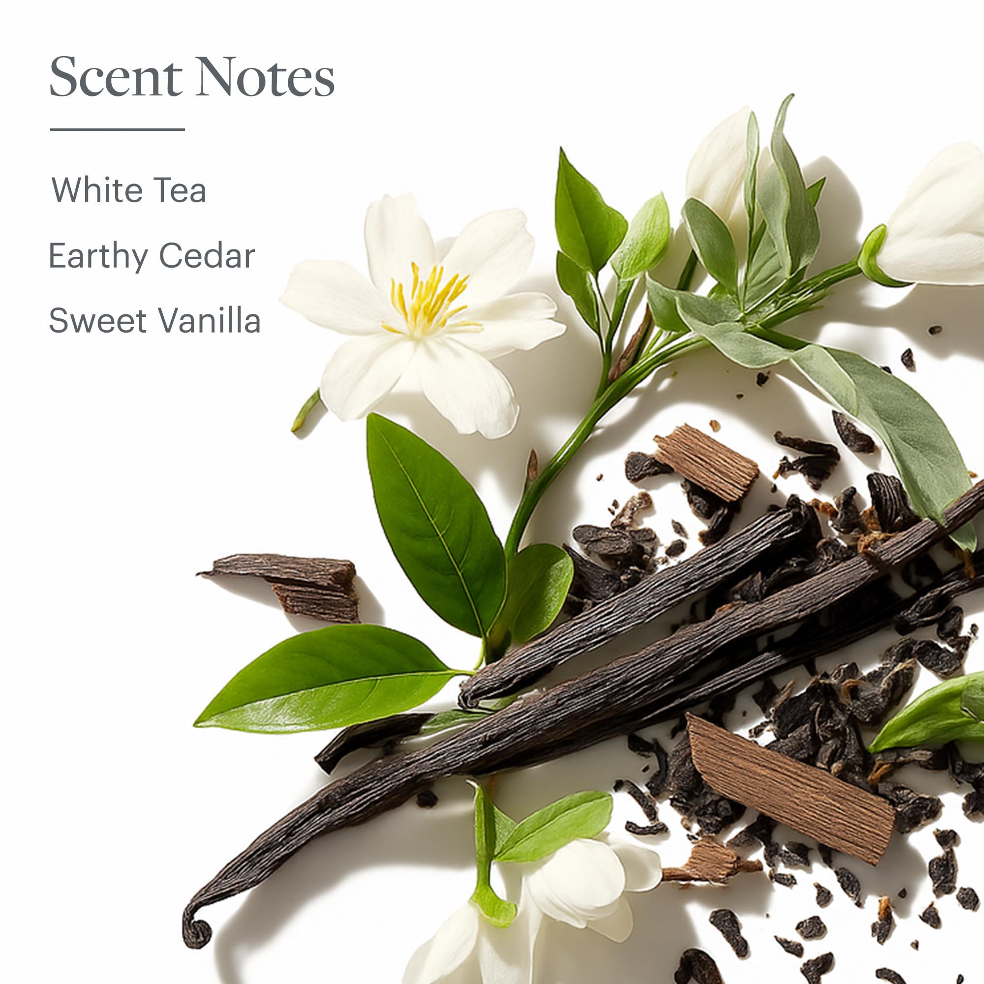 Westin White Tea Aloe Shampoo signature scent ambience evokes spa like refreshment