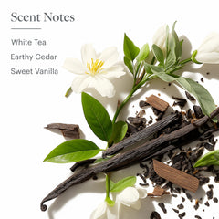 Westin White Tea Aloe Shampoo signature scent ambience evokes spa like refreshment