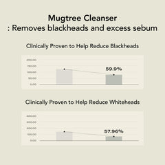 Whipped Semo Company Whipped Korean Skincare Face Wash Niacinamide 2% boost for resilient skin