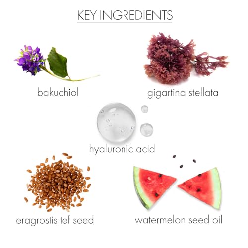 Whish formula highlight of hydrolyzed eragrostis tef extract for firming.