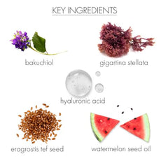 Whish formula highlight of hydrolyzed eragrostis tef extract for firming.